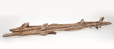 Example of natural driftwood