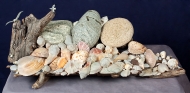Driftwood sculpture with shells and stones